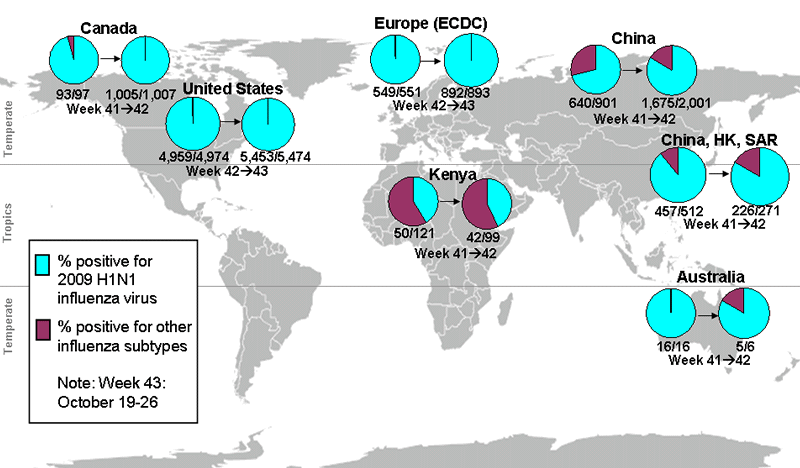 This picture depicts a map of the world that shows the co-circulation of 2009 H1N1 flu and seasonal influenza viruses. The United States, Canada, Europe, Australia, Kenya, China and Hong Kong (China) are depicted. There is a pie chart for each that shows the percentage of laboratory confirmed influenza cases that have tested positive for either 2009 H1N1 flu or other influenza subtypes. The majority of laboratory confirmed influenza cases reported in the United States, Canada, Europe, Australia, China and Hong Kong (China) have been 2009 H1N1 flu.