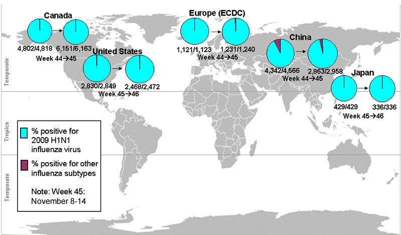 This picture depicts a map of the world that shows the co-circulation of 2009 H1N1 flu and seasonal influenza viruses. The United States, Canada, Europe, Japan and China are depicted. There is a pie chart for each that shows the percentage of laboratory confirmed influenza cases that have tested positive for either 2009 H1N1 flu or other influenza subtypes. The majority of laboratory confirmed influenza cases reported in the United States, Canada, Europe, Japan and China have been 2009 H1N1 flu.