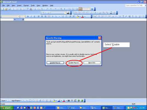 Picture displaying how the user will enable to macros that are needed to run the FluSurge Special Edition software tool.