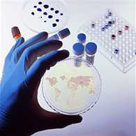 hand holding a petri dish
