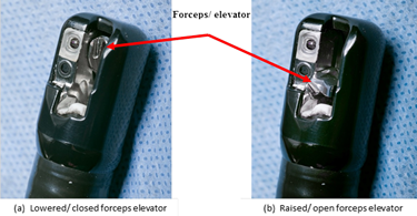 These images show the distal end, Model TJF-Q180V (Olympus) â Illustrating the orientation of forceps elevator in the (a) âlowered/ closedâ position and (b) âraised/ openedâ position.