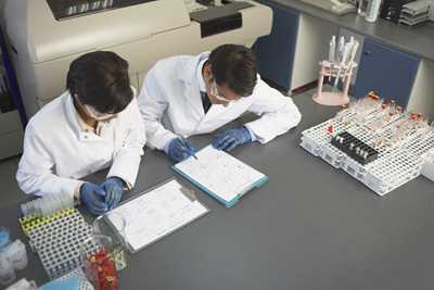 laboratory workers reviewing test results
