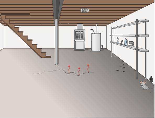 image of Basement-utility room