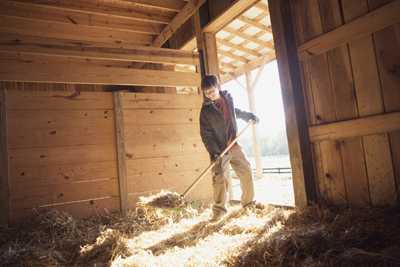 man cleaning a horse stall