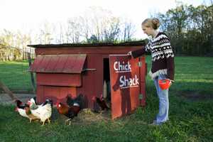 A woman stands near her chicken coop
