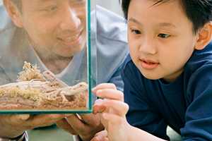 A father and son look at a lizard in a terrarium