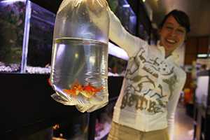 Girl holds a bag containing a goldfish. Photo