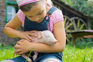 little girl holding a piglet