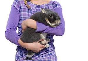 A girl supports a rabbit with two arms