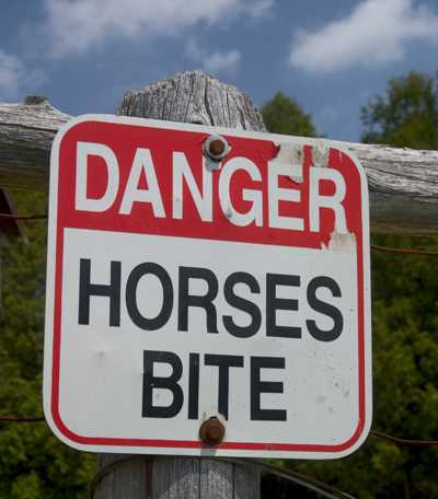 Sign on a fence that reads: Danger: Horses Bite
