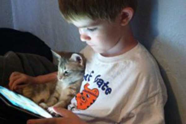 Boy sits with kitten while he looks at iPad.