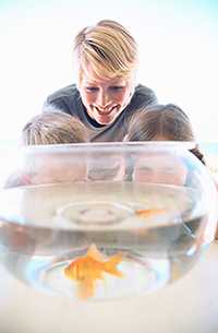 Mother and two children watching a goldfish in a bowl. 