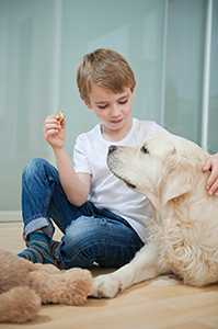 A boy gives his dog a treat
