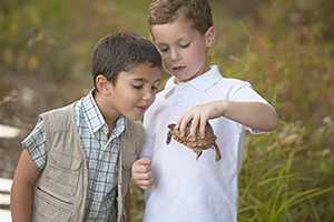 Two boys look at a turtle. 