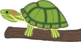 Illustration of a turtle on a branch