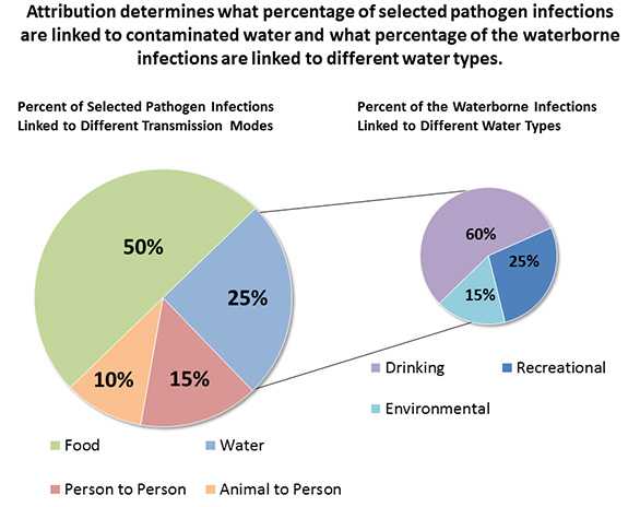 	Attribution pie chart showing how attribution determines what percentage of selected pathogen infections are linked to contaminated water and what percentage of the waterborne infections are linked to different water types. Food is 50%, Water 25%, Person to Person 15%, Animal to Person 10%. The water wedge breaks down in to a smaller pie chart showing 60% due to drinking water, recreational water 25%, and environmental 15%.