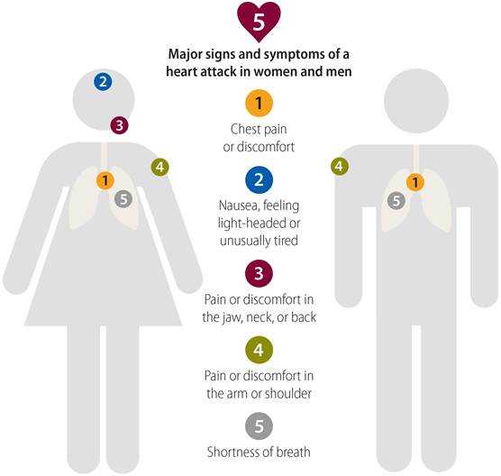 Men vs. Women: What to Know About Heart Attack Symptoms E-Z 2 Stick Glancer  - Personalization Available