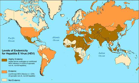 World Map showing levels of Endemicity for Hepatitis E Virus in each country.