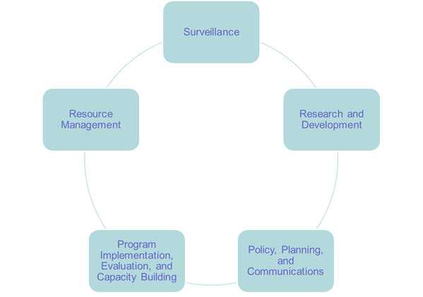 Core Functions - Circle graphic with Surveillance; Research and Development; Policy, Planning and Communications; Program implementation, evaluation and capacity building; and Resource Management