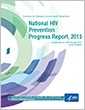 National Progress Report