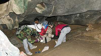 Hubert fellow working in a cave in Thailand.
