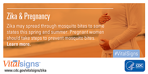 Learn Vital Information about Zika and Pregnancy