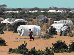 Make-shift shelters serve as homes for refugees in Dadaab refugee camp in Kenya