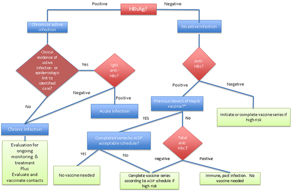 Figure 2:  Hepatitis B screening algorithm for those > 18 years old born in countries with hepatitis B prevalence rates of > 2%, or those considered at high risk in countries where prevalence rates are < 2%