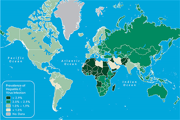 Figure 4:  Geographic Prevalence of Hepatitis C Virus Infection