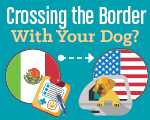 crossing the border with dog image