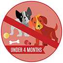 Illustration of two puppies under the age of 4 months. Image has a slash through it, meaning puppies under 4 months old are not allowed.