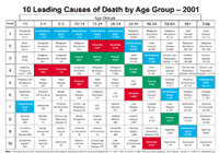 10 Leading Causes of Death