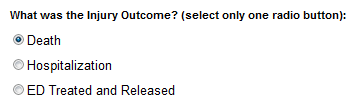 A screenshot of a section from the report options for Cost of Injury Reports