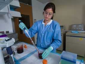 Photo of scientist working in laboratory
