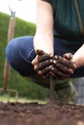Image of someone working the soil.