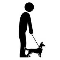 Illustration of an elderly person with a dog