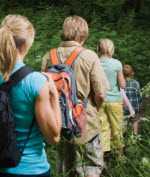 A group of hikers walking in single file