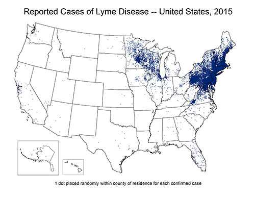 Map of the United States showing reported cases of lyme disease. The cases are concentrated in the north east quarter of the country