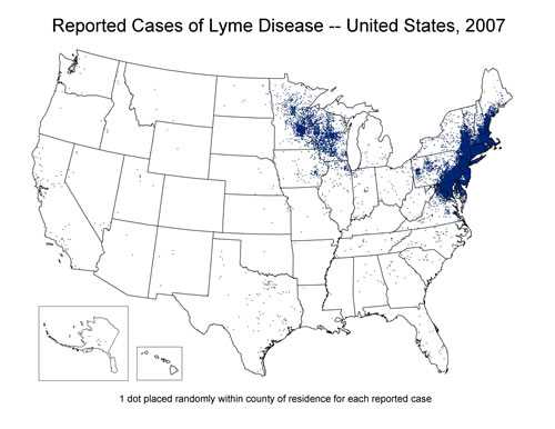 Reported Cases of Lyme Disease 2007