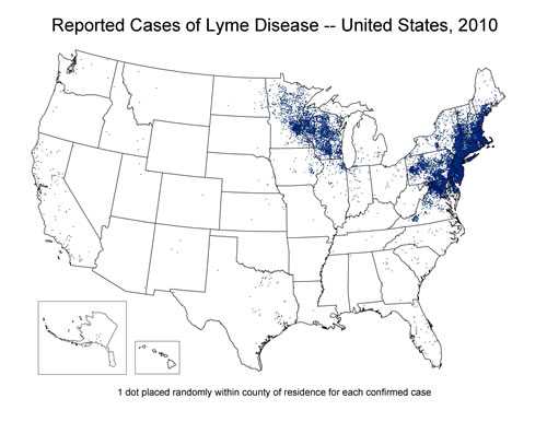Reported Cases of Lyme Disease 2010