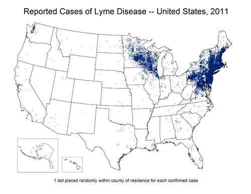 Reported Cases of Lyme Disease 2011