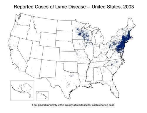Reported Cases of Lyme Disease 2003