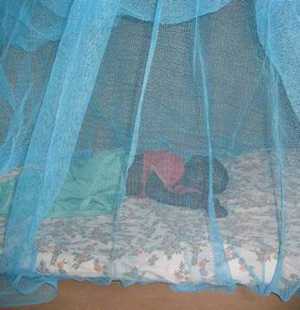 Image of an infant sleeping under a bed net.