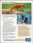 CDC's Malaria Program