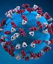 This illustration provides a 3D graphical representation of a spherical-shaped, measles virus particle that is studded with glycoprotein tubercles.