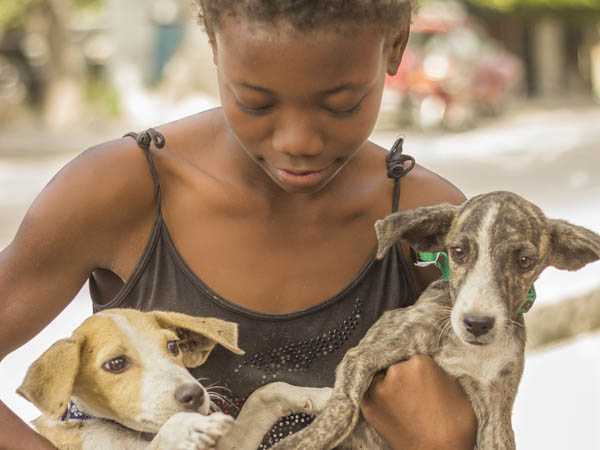 Vaccinating her best friends against rabies at a mass canine vaccination clinic in Gonaives, Haiti. 