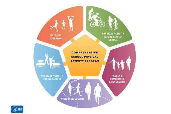 infographic: a diagram depicting the components of a comprehensive school physical activity program.