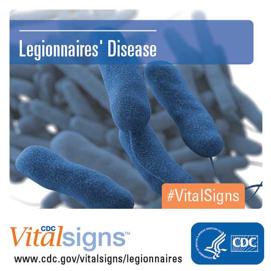 Legionella pneumophila, the bacterium tha causes the majority of Legionnaires' disease cases and outbreaks