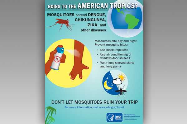 Mosquito Bite Prevention for Travelers