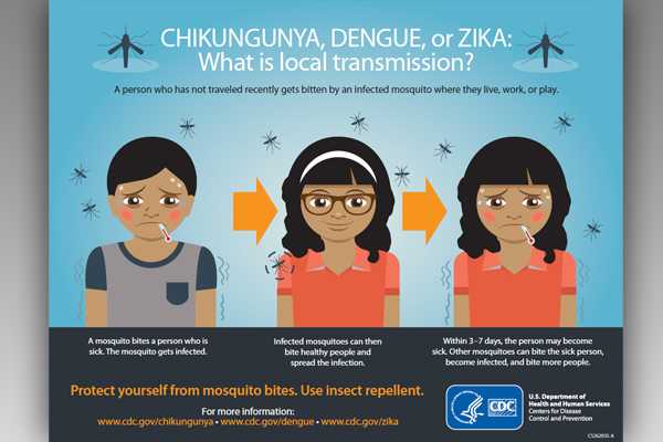 Zika Virus: What is local transmission?
